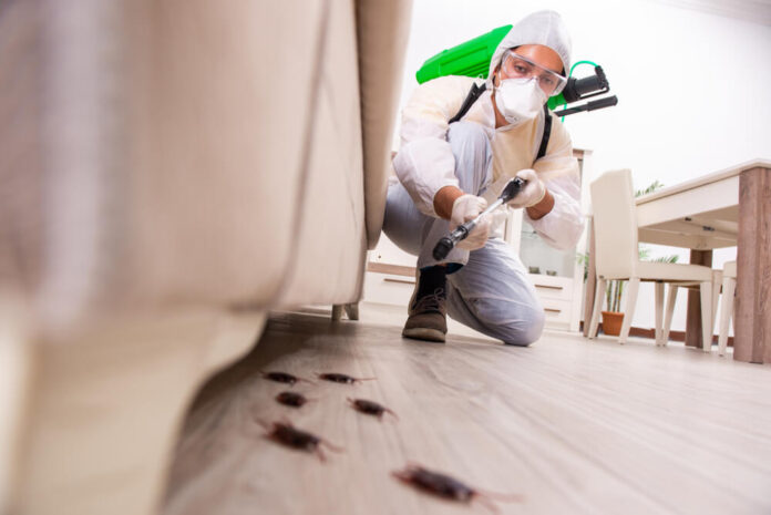 Killer Carpet Cleaning & Pest Control
